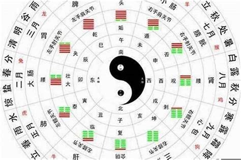 金命的人|八字五行属金的金命人的特点